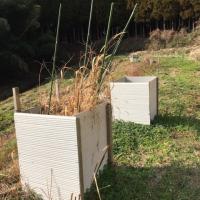 115位のイメージ