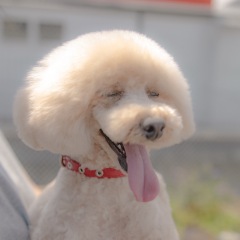 11位のイメージ