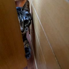 74位のイメージ