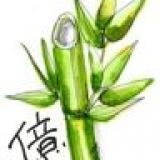 56位のイメージ