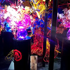 2230位のイメージ