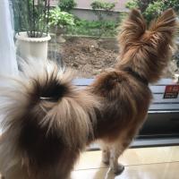 61位のイメージ