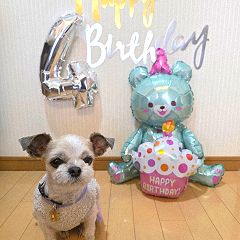 144位のイメージ