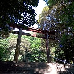 110位のイメージ