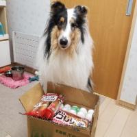 33位のイメージ