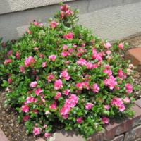 127位のイメージ