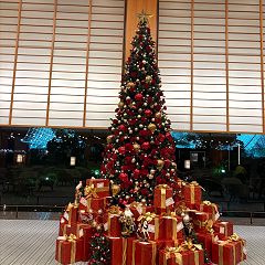 71位のイメージ