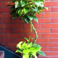 64位のイメージ