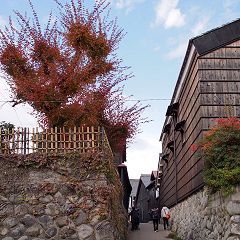 76位のイメージ