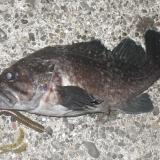 24位のイメージ