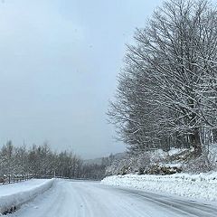 182位のイメージ