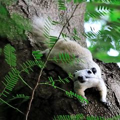 29位のイメージ