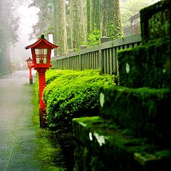 15位のイメージ