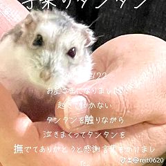 140位のイメージ