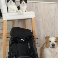 33位のイメージ