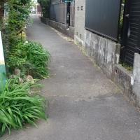 2106位のイメージ