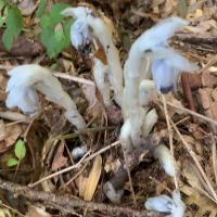 94位のイメージ