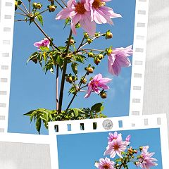 73位のイメージ