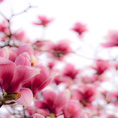 72位のイメージ