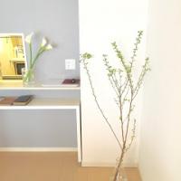 96位のイメージ