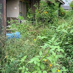 51位のイメージ