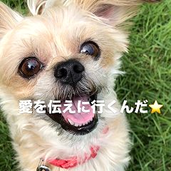 67位のイメージ