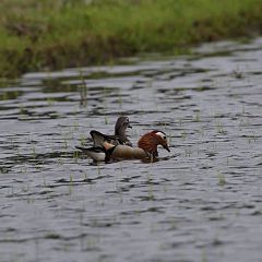 144位のイメージ