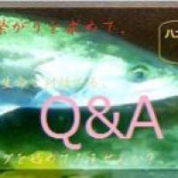 209位のイメージ