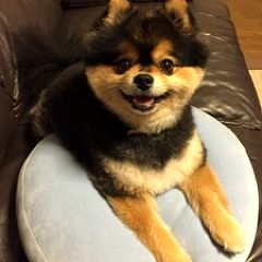 74位のイメージ