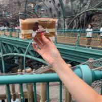 262位のイメージ