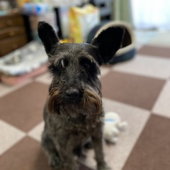 20位のイメージ