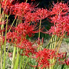 143位のイメージ