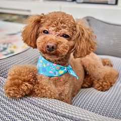 266位のイメージ