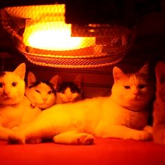 14位のイメージ