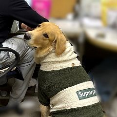 14位のイメージ