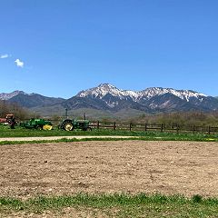 12位のイメージ