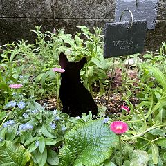 23位のイメージ