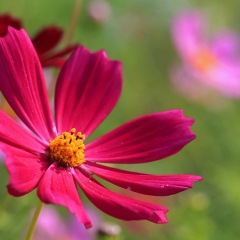 30位のイメージ