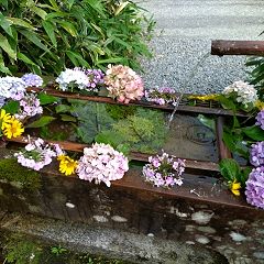 12位のイメージ