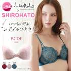 27位のイメージ