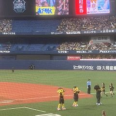 155位のイメージ