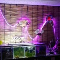 1014位のイメージ