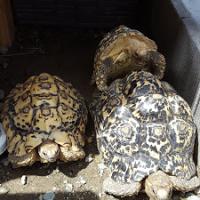 22位のイメージ