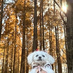 19位のイメージ