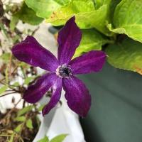 162位のイメージ