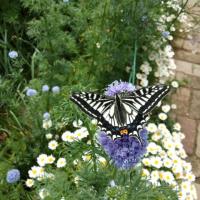 106位のイメージ