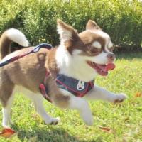 33位のイメージ