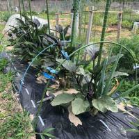 15位のイメージ