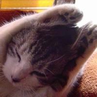 28位のイメージ