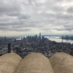 86位のイメージ